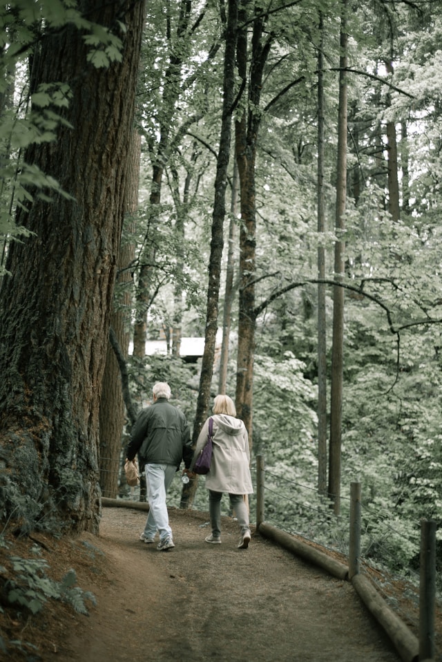 Contact Dormavelonia